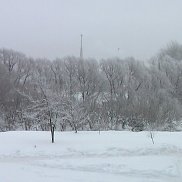 �����, 52 ����, �����-���������