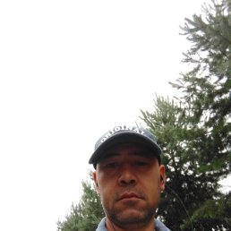 Z, 37, 