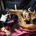 ���� Helen, ������, 56 ��� - ��������� 30 ����� 2024 � ������ ���� ����������