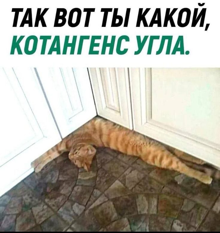   - 31  2025  07:02
