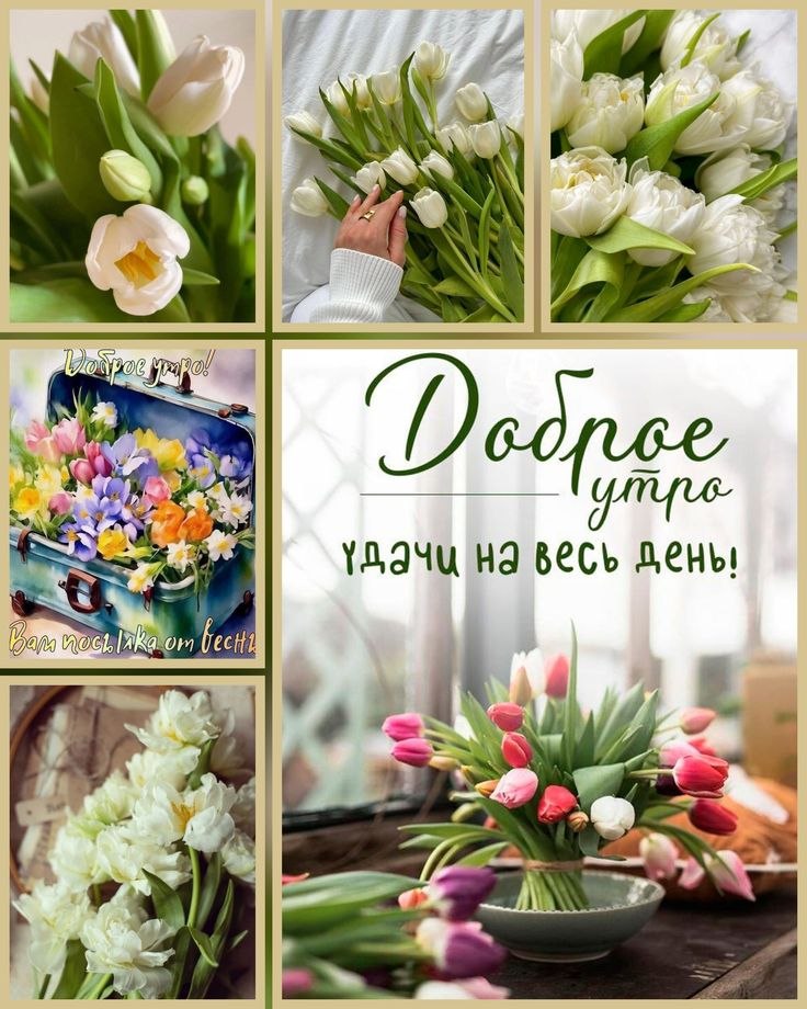 ����������� � ���������, �������� �� ������ ����. - 5 ��� 2026 � 01:01
