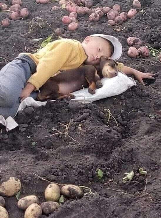 :)    