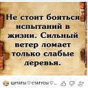  , , 63  -  15  2024    