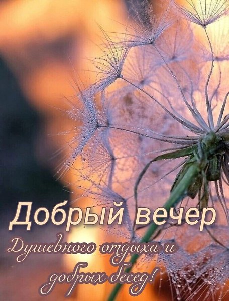 ����������� � ���������, �������� �� ������ ����. - 29 ��� 2026 � 17:02