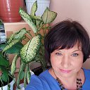 ���� �������;), ���� - ��������� 15 ���� 2025 � ������ ���� ����������