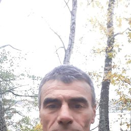 , 57, 