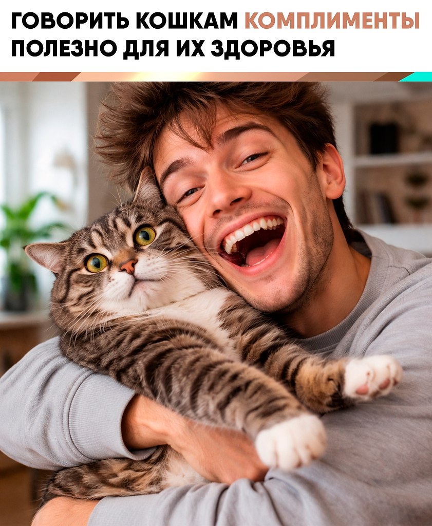 ����� �� ������� ������� � �������� ��� ���-�� ��������, �� ��������� ������������ � ������� ...