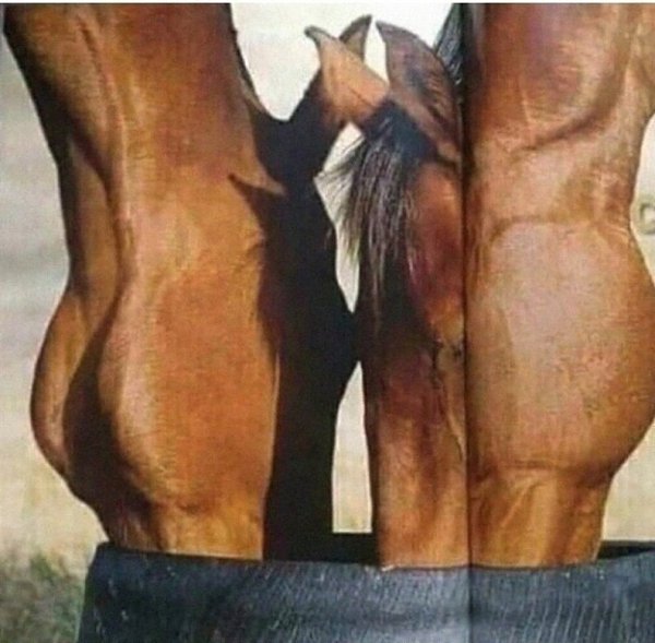 �� �����, � ��� ��� ������ ����� ���������? �� ������ ���� ���� � ���?