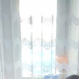 �����, �������, 76 ���