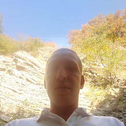 , 36, 