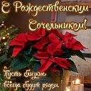 ���� ������, �����������, 55 ��� - ��������� 7 ������ 2026 � ������ ������ ��������
