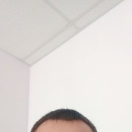 , 40, 