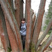 ��������, 37 ���, ������