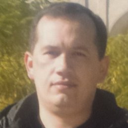 �����, �����������, 43 ����