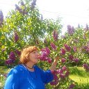 ���� �������, ������ ��������, 58 ��� - ��������� 25 ��� 2024