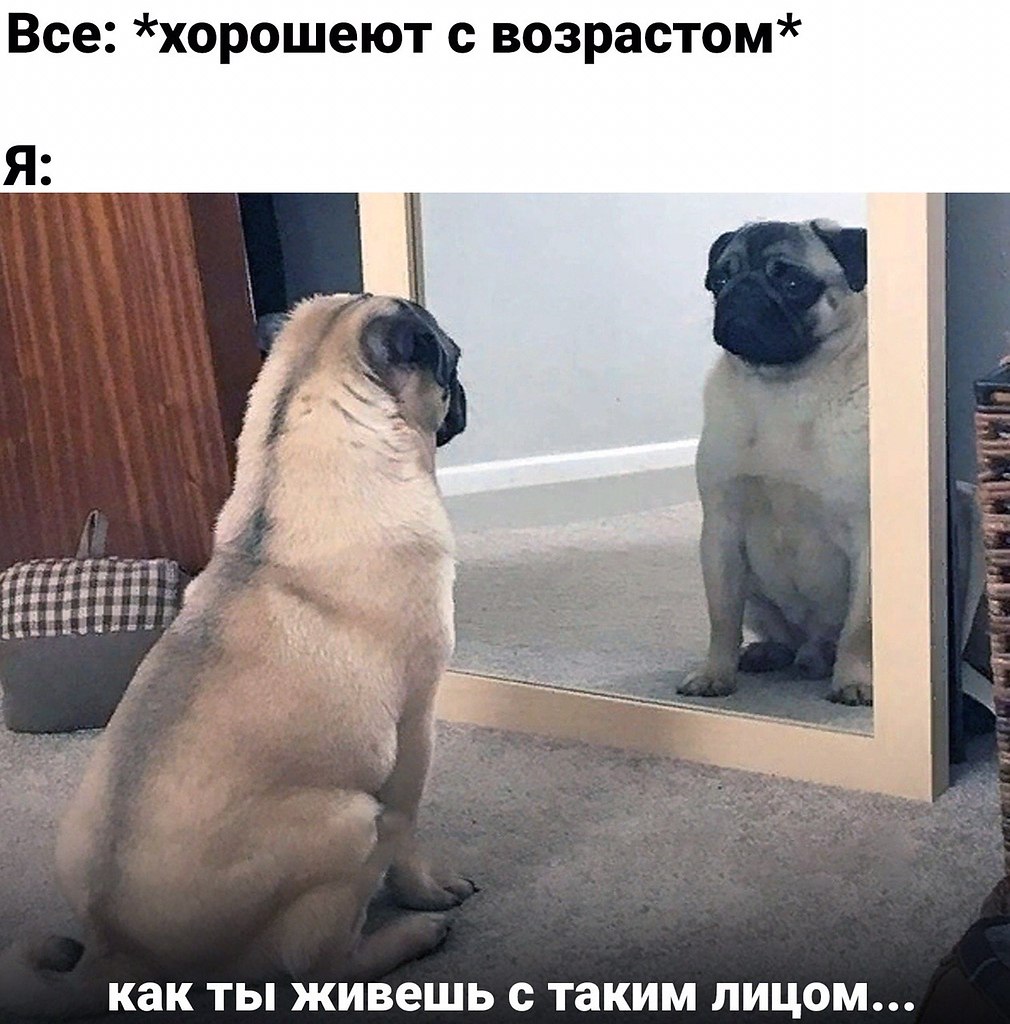    - 30  2023  13:27