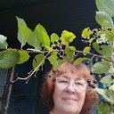 ���� ������, ��������, 72 ���� - ��������� 11 ������� 2024 � ������ ���� ����������