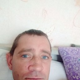 , 44 , 