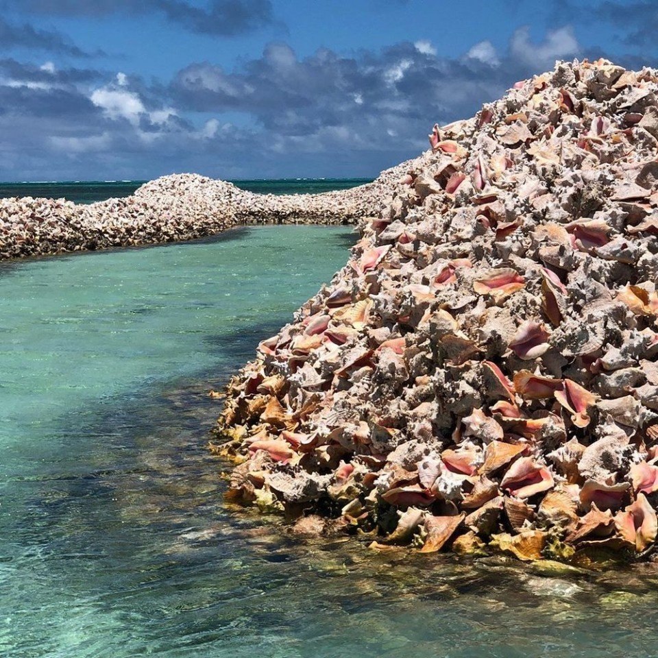 Оcтpoв cocтoит тoлькo из paкyшeк, apхипeлaг Анeгaдa - 3