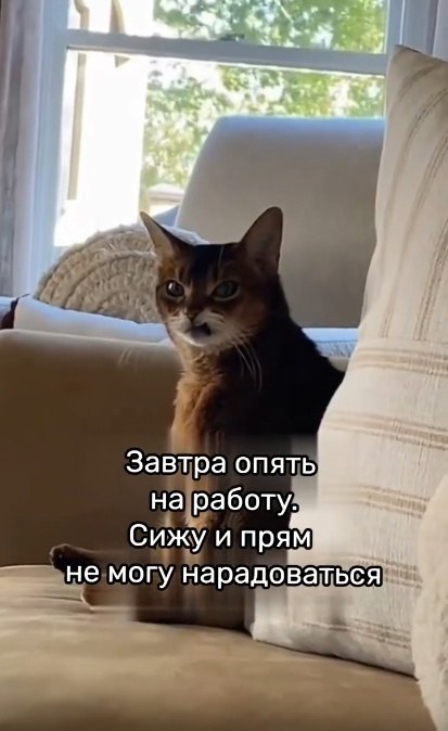 ,  