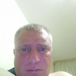  , 41, 