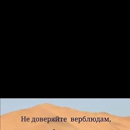 ����, ����, 38 ���