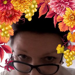 ,  , 55 