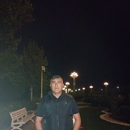 , 42, 