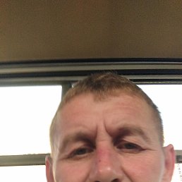 , 41, 