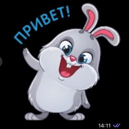 �����, ������, 62 ����