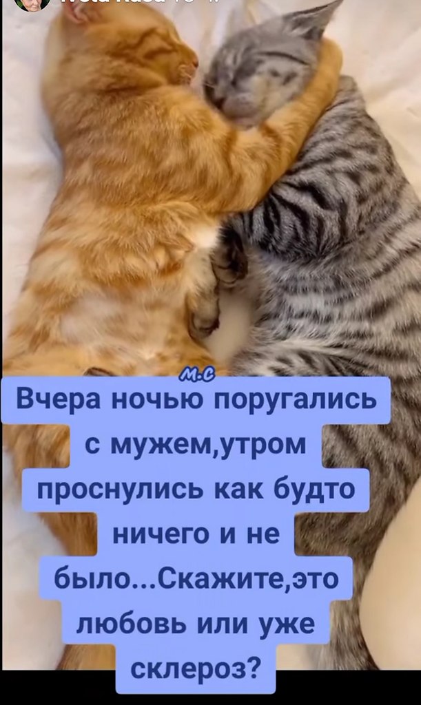 ПреЛЮДИи чувств - 8 октября 2025 в 20:57