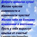  , , 45  -  22  2024      Ȼ