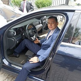 , 37, 