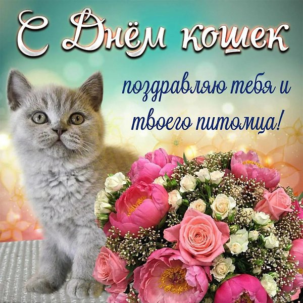 �������: ������, ������, �����, ������, ����, �����, ����, �������� - 2