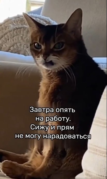 ,   - 2