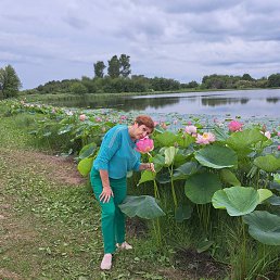 ���� ������, �����������, 64 ���� - ��������� 18 ������ 2023