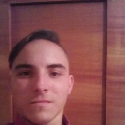 , 29, 