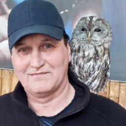 �������, 54 ����, ������