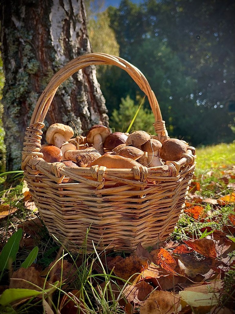  :      .    : , , ...