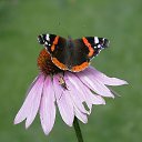 ������� ������� �� ������ �������� � ��� �����. ������ 2025 �� ������� ������� ��������)))�