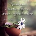 ���� ������� !, ������ - ��������� 19 ������ 2026 � ������ ������ ��������