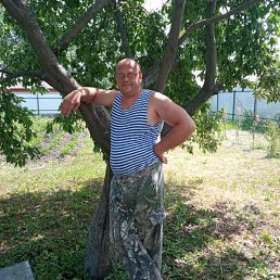 ���� �����, 45 ���, ������