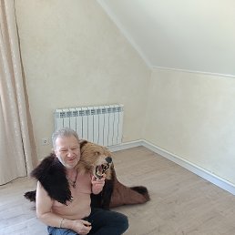 ���� ������, ������, 62 ���� - ��������� 14 ������ 2026