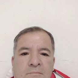  , 46, 