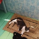 ���� �����, ������� - ��������� 9 ����� 2026 � ������ ���� ����������