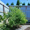  , --, 43  -  10  2025    