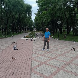 �����, �����������, 46 ���