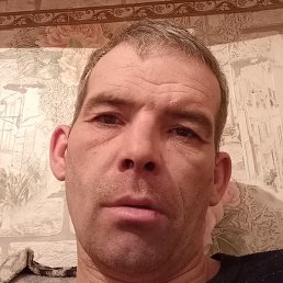 , , 41 