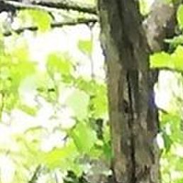 �����, ��������, 26 ���