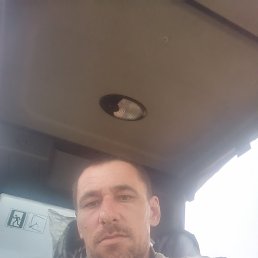 ����, 41 ���, �������������